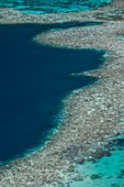 Coral reef in shallow water