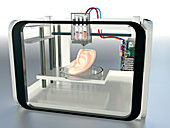 3D printed ear,conceptual image