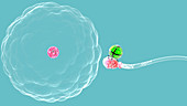 Nano-fertilisation,conceptual image