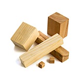 Variety of wooden blocks