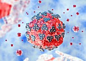 AIDS virus particle,illustration