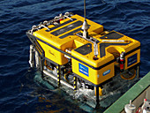 Holland marine ROV