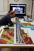 Marine geologist studying seafloor map