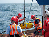 Depressor weight being lifted aboard