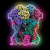 Cytochrome BC1 molecule