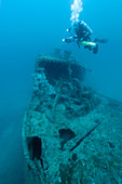 Diver at 'Northern Light' shipwreck