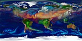 Global dust levels,GEOS simulation