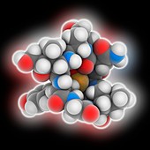 alpha-Amanitin toxin molecule