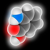 Anthranilic acid molecule