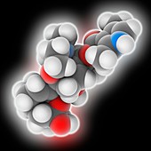 Batrachotoxin frog poison molecule