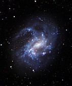NGC 4395 galaxy,optical image
