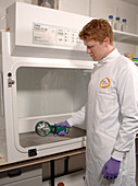 Fume cupboard safety testing