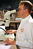 Microbial microscopy ultraviolet analysis