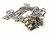 Palace of Knossos,illustration
