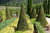 Chateau garden,France