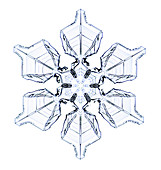 Snowflake,light micrograph