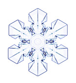 Snowflake,light micrograph