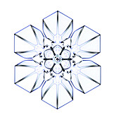 Snowflake,light micrograph