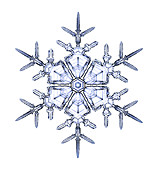 Snowflake,light micrograph