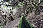 Irrigation channel and footpath