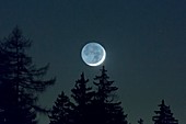 Moon with earthlight and trees