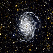 Galaxy NGC 6744,UV space telescope image