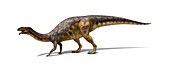 Lessemsaurus dinosaur,illustration