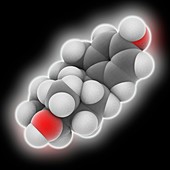 Estradiol hormone molecule