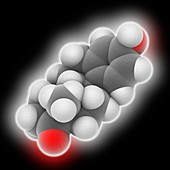 Estrone hormone molecule