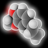 Eugenol molecule