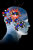 Brain-Enhancing Supplements