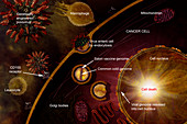 Poliovirus and Cancer,illustration