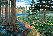 Cretaceous landscape,illustration