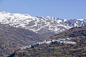 The White villages in the Sierra Nevada