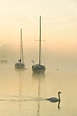 A misty morning over Lake Windermere,UK