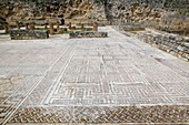 Roman mosaic floors