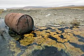 Abandoned barrels of leaking waste oil