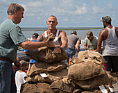 Unloading harvested oysters