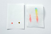 Paper chromatography test sheet