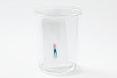 Thin-layer chromatography