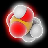 Methanesulfonic acid molecule