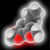 Myristicin molecule