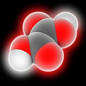 Oxalic acid molecule