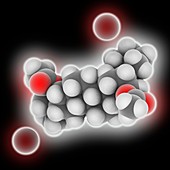 Pancuronium bromide drug molecule