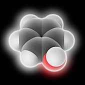 Phenol molecule