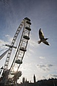 The London Eye