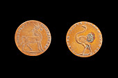 Pidcock's Exhibition Exeter token