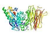 Proprotein convertase type 9 (PCSK9)