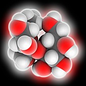 Sucrose molecule