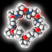 Valinomycin drug molecule